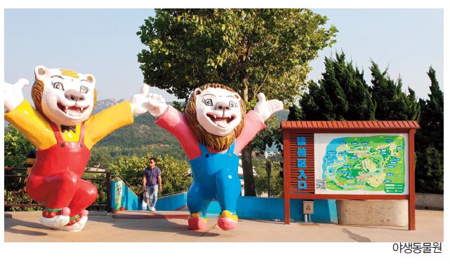 에디터 사진
